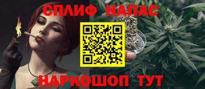 гидра Берёзовский