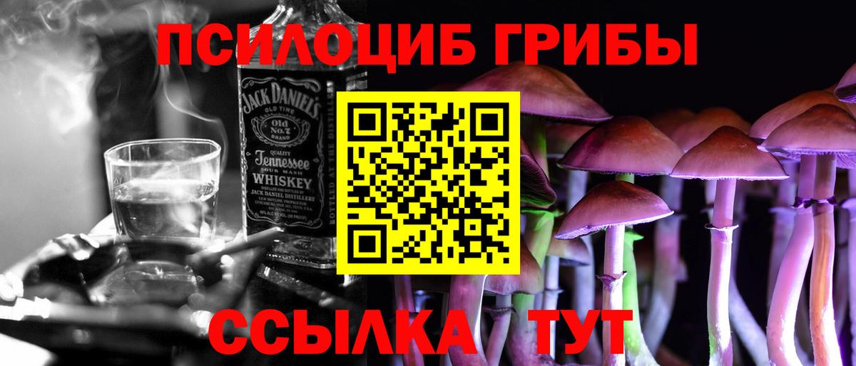Вольск  Псилоцибиновые грибы прущие грибы  Вход с VPN 